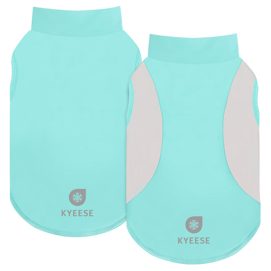 C-Curve Colorblock T-Shirt-2Pack