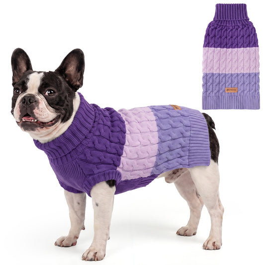 Black and white French bulldog standing in purple dog sweater with lavender stripe