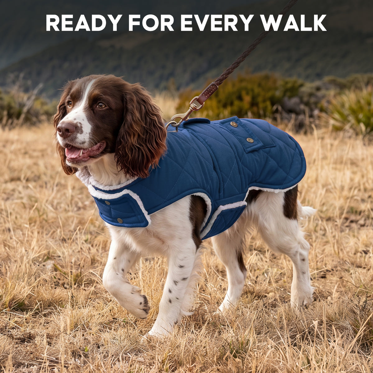 Blue Waterproof Lined Dog Coat - Blue coat gallery image 10