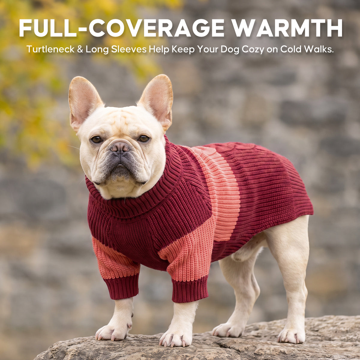 Red Color Block Dog Turtleneck Sweater gallery image 9