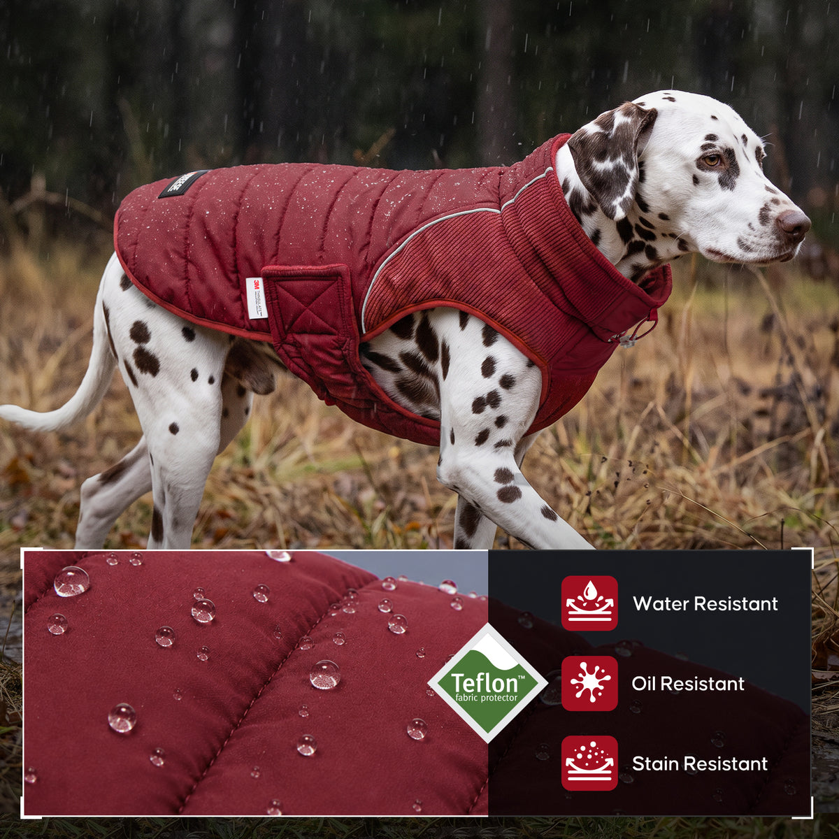 Red Waterproof Lined Dog Coat gallery image 10