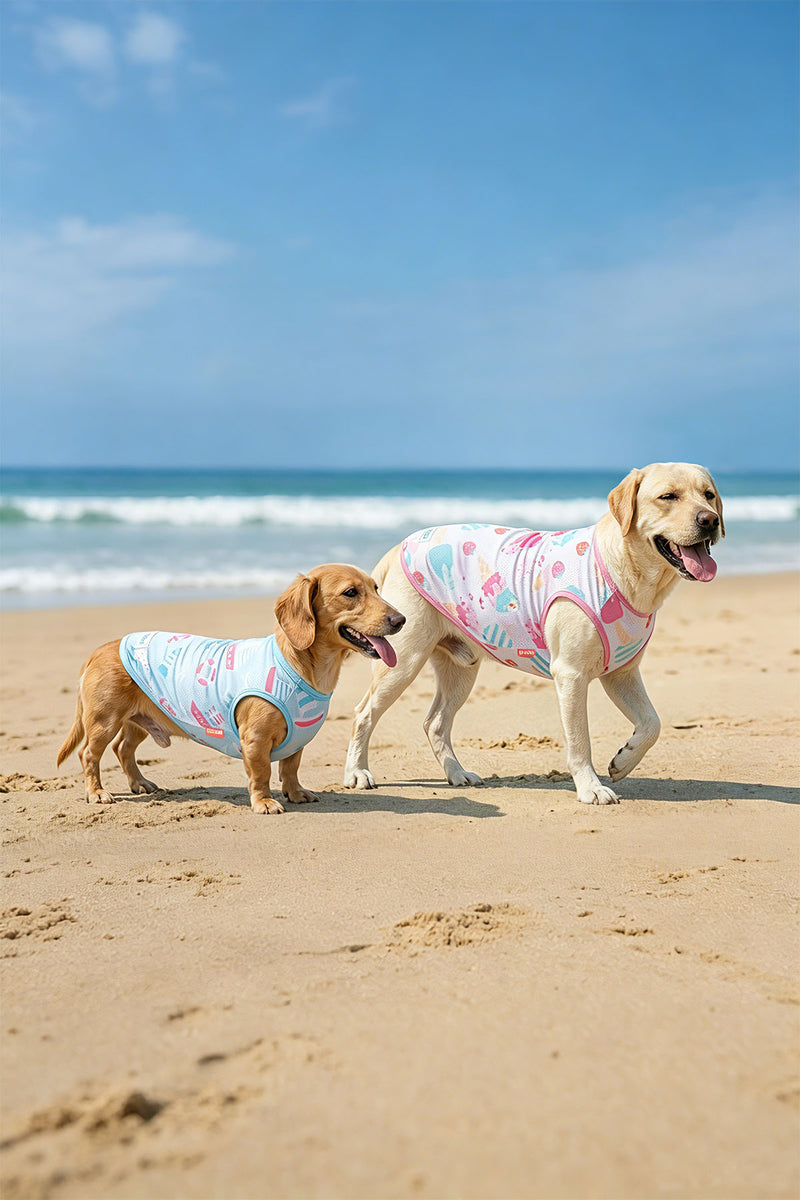 Cool & Comfortable
