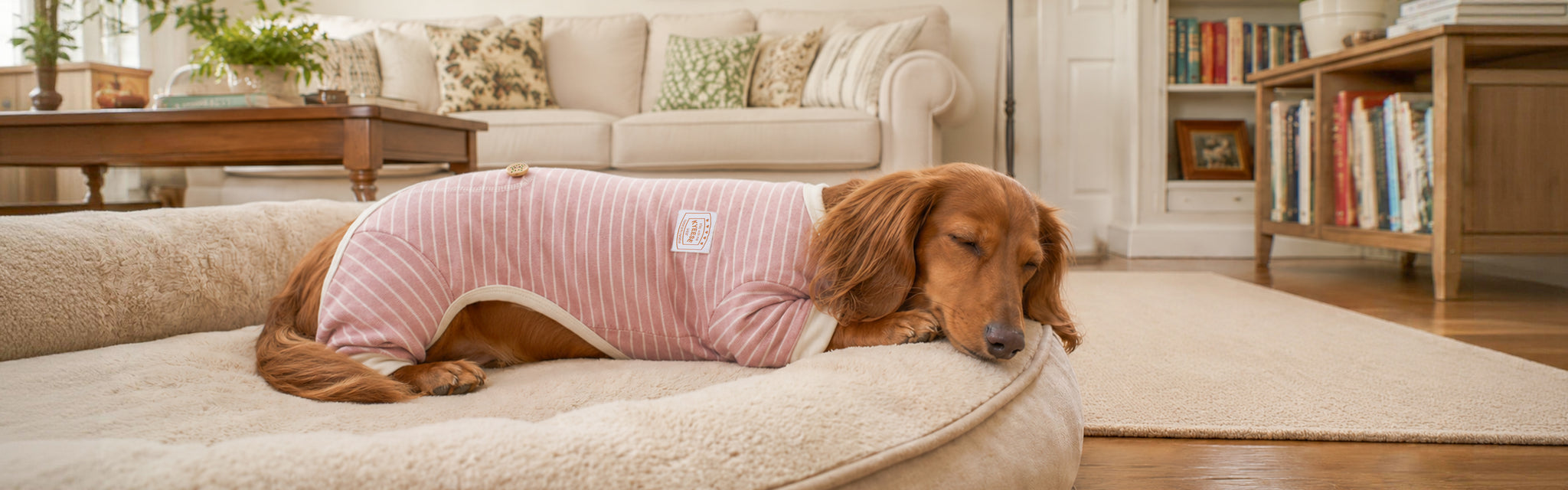 Comfort In Every Thread