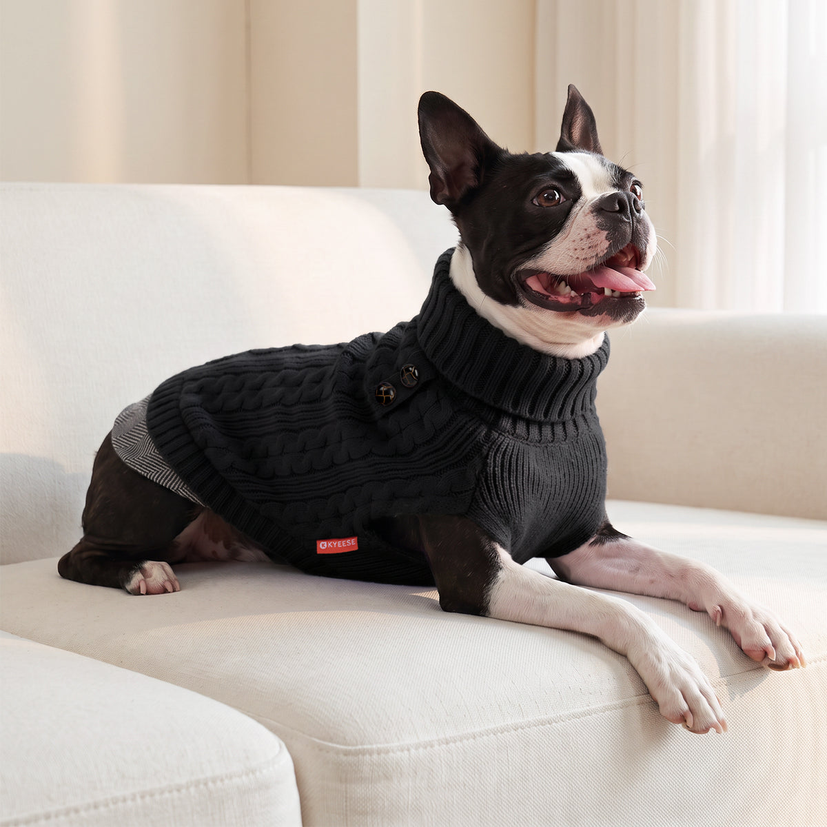 Black Turtleneck Dog Pullover Sweater - gallery image 8