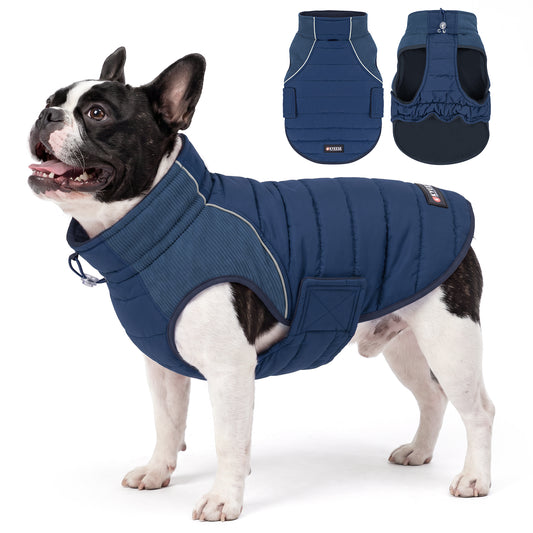 Black and white dog modeling a blue quilted coat beside front and underside views