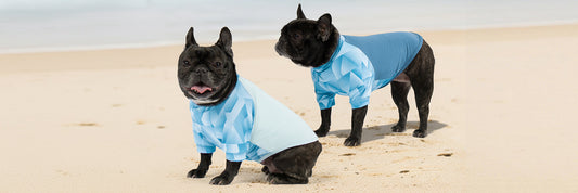 Spring & Summer Dog Outfit Guide: Style Meets Sun Protection