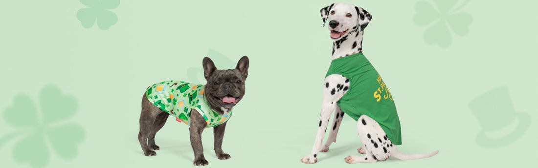 🍀Lucky Green Today Challenge – Winners Announced! 🍀