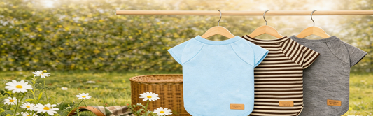 Spring Dog Outing Guide: Why Dogs Need a Dog Shirt