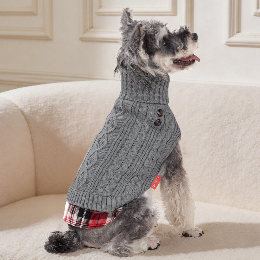 How to Choose a Dog Sweater: A Guide to Fit, Warmth & Comfort