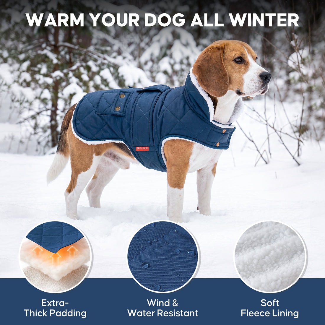 Blue Waterproof Lined Dog Coat - Blue coat gallery image 7