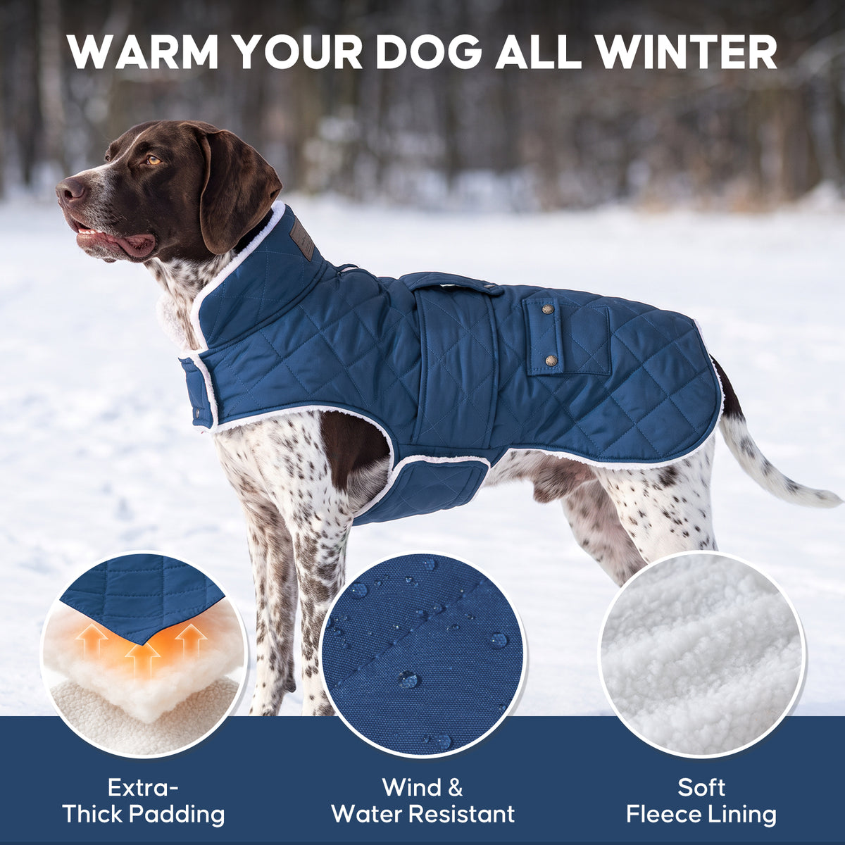 Blue Waterproof Lined Dog Coat - Blue coat gallery image 8