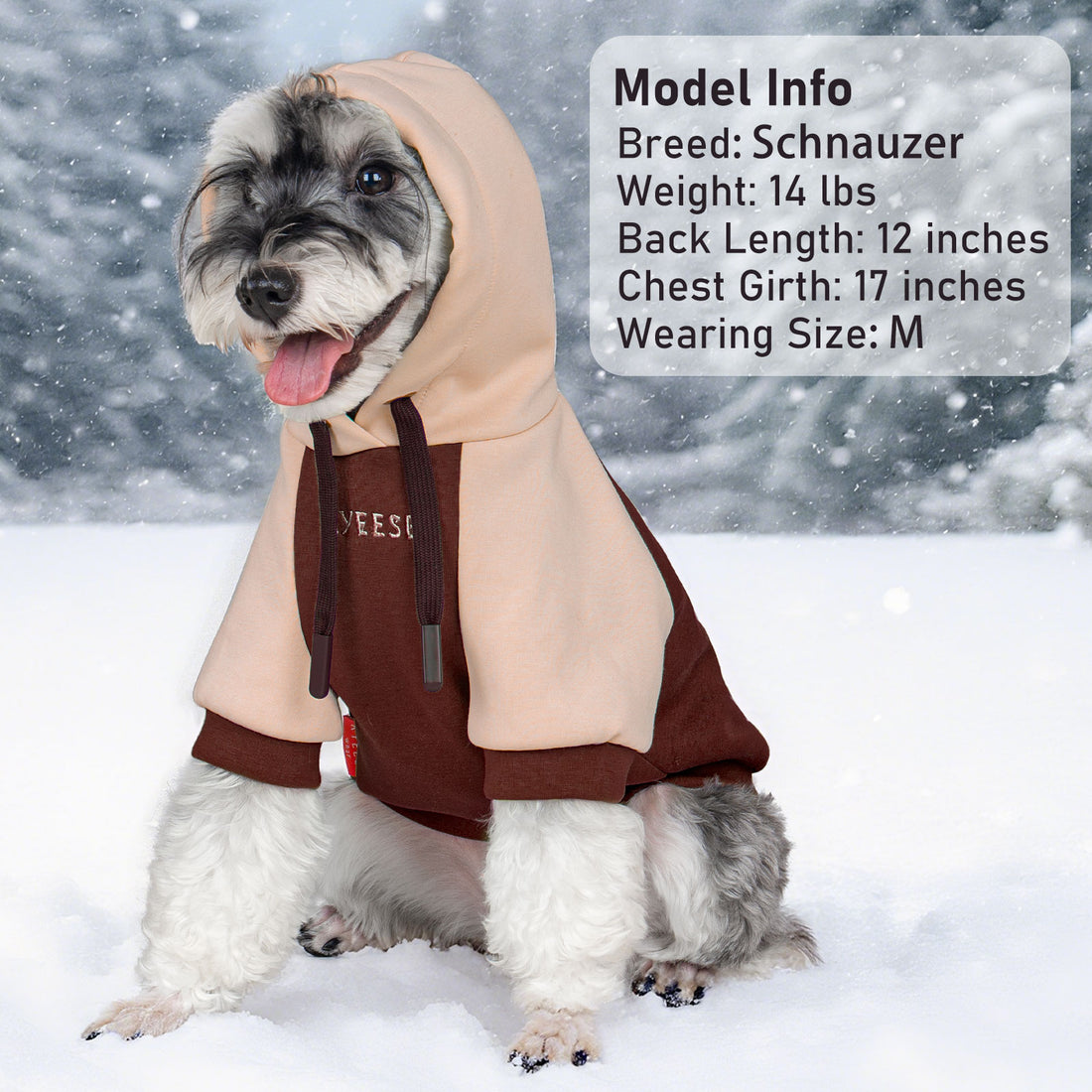 Bicolor dog hoodie with light beige hood and dark brown body, front paw detail.