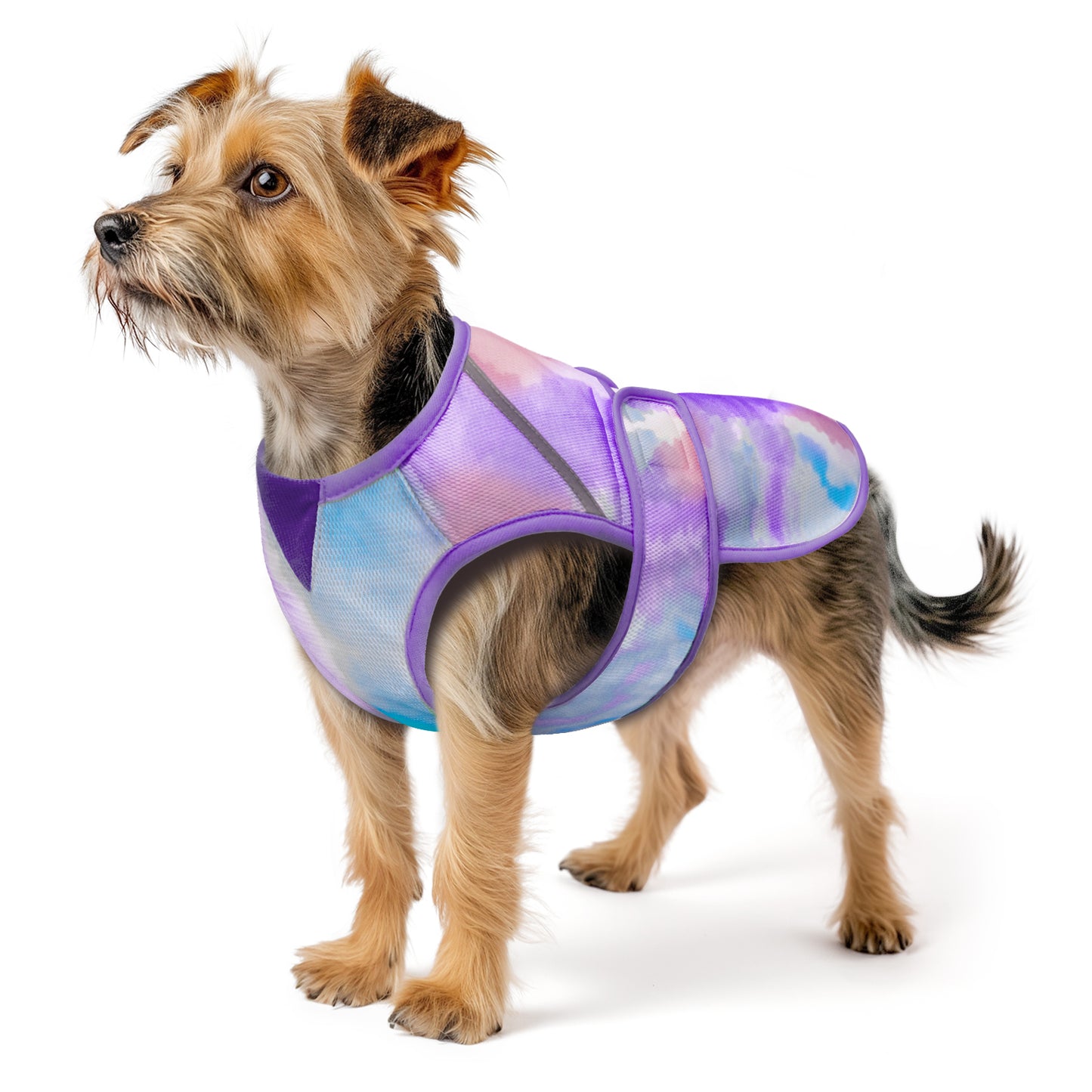 Purple and blue tie-dye lightweight mesh cooling dog vest on a small dog
