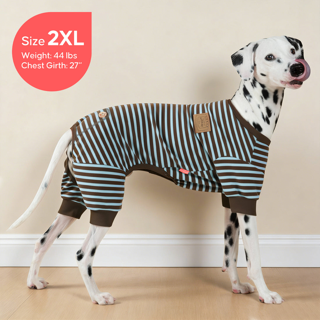 Striped dog onesie pajamas on a dalmatian dog, blue and brown stripes