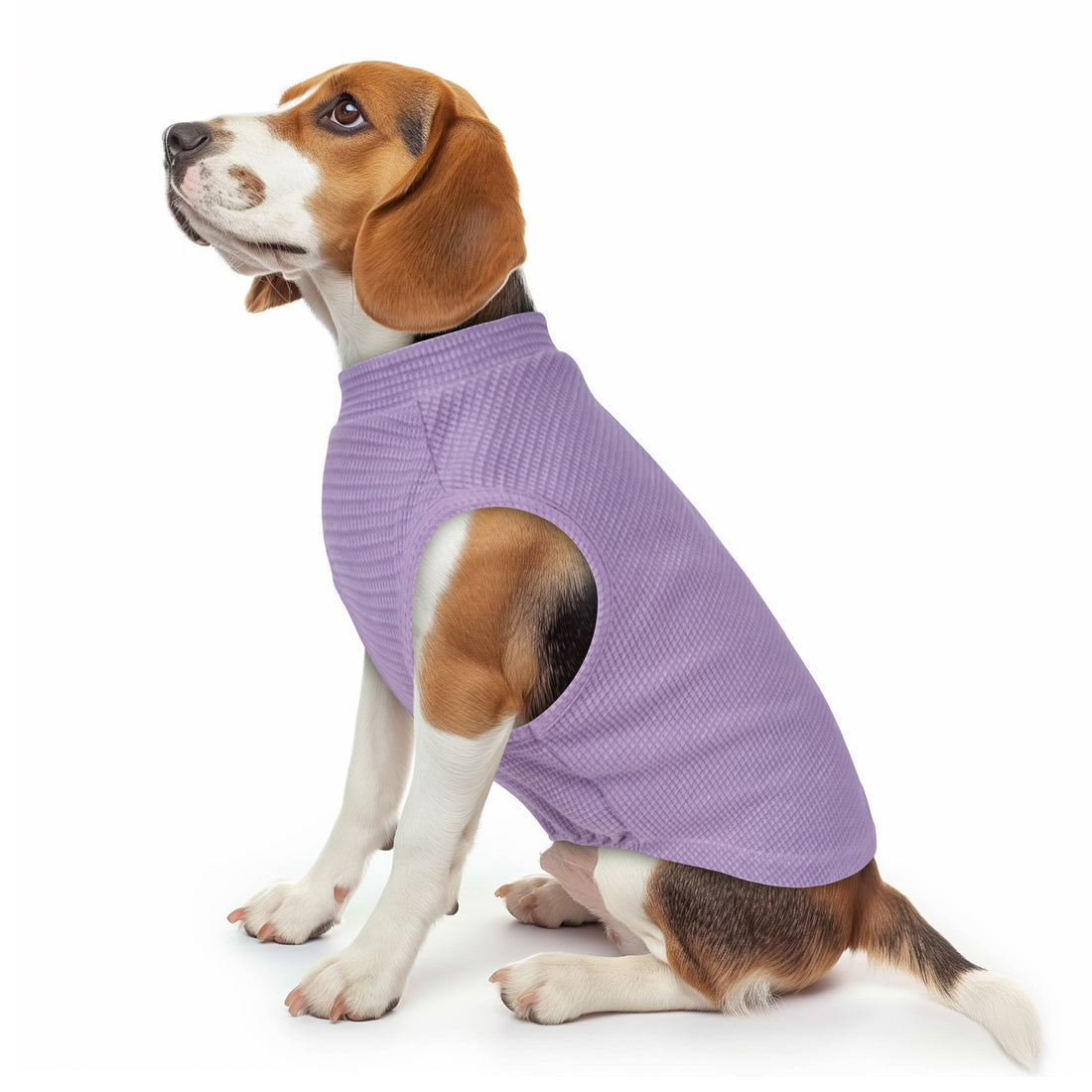 Dog waffle shirt in purple waffle knit, round neck, elastic belly opening