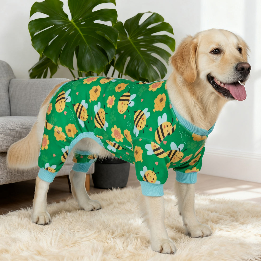 Green dog onesie pajamas with bee print and light blue trim, full view on standing dog.