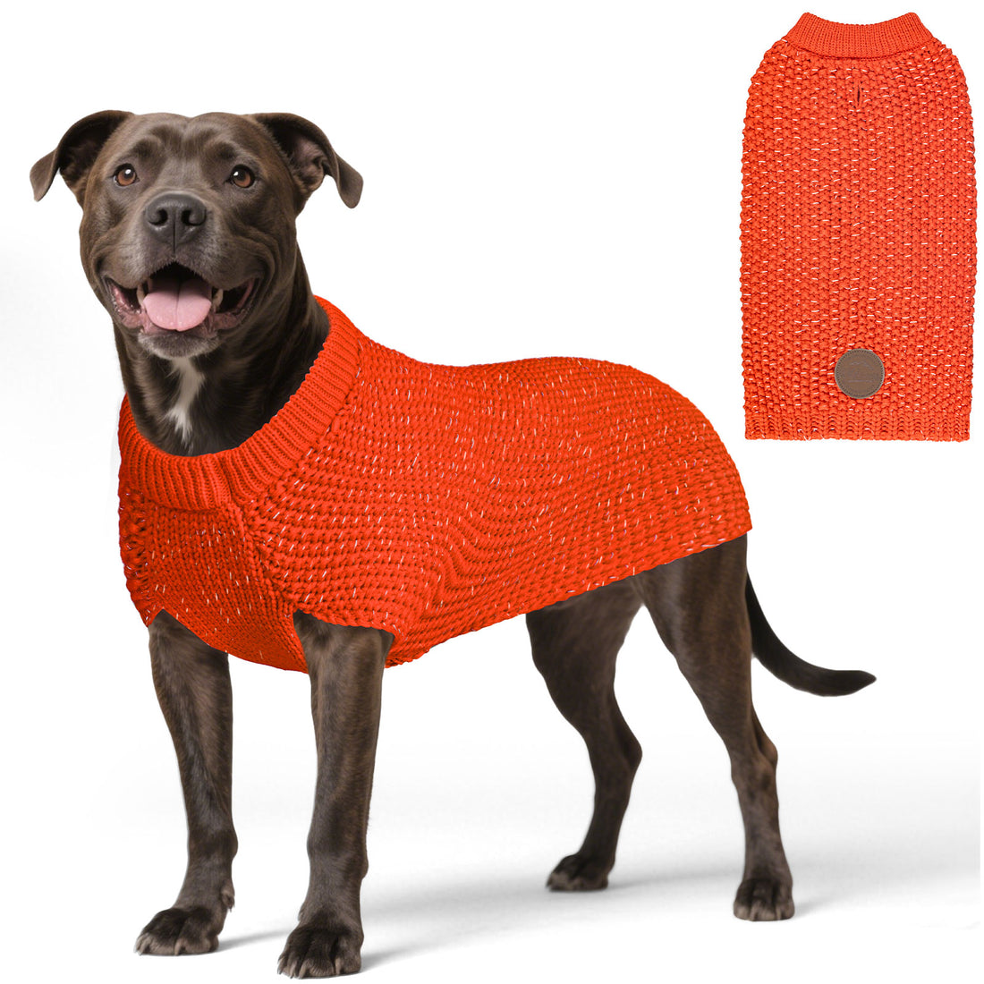 Orange dog sweater on medium dog, ribbed round neck and short knit body with back patch