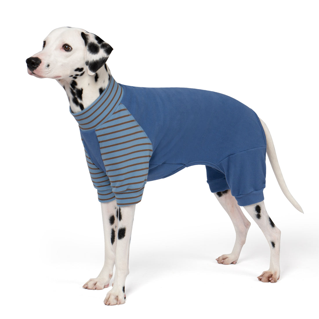 Blue thermal dog pajamas with brown-and-blue striped front belly and sleeves