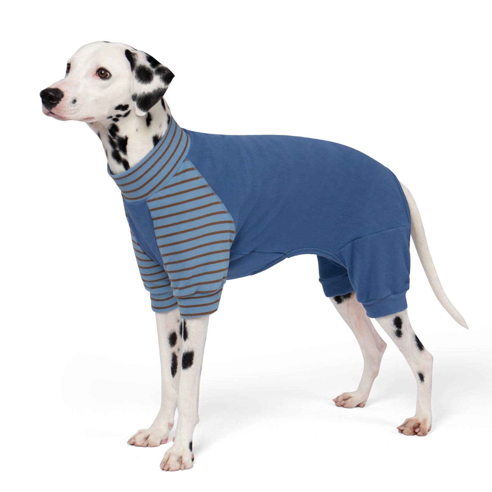 Blue thermal dog pajamas with brown-and-blue striped front belly and sleeves