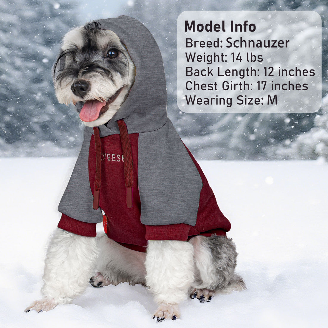 Dog winter hoodie with hood, gray top and red skirt, paw patch on chest