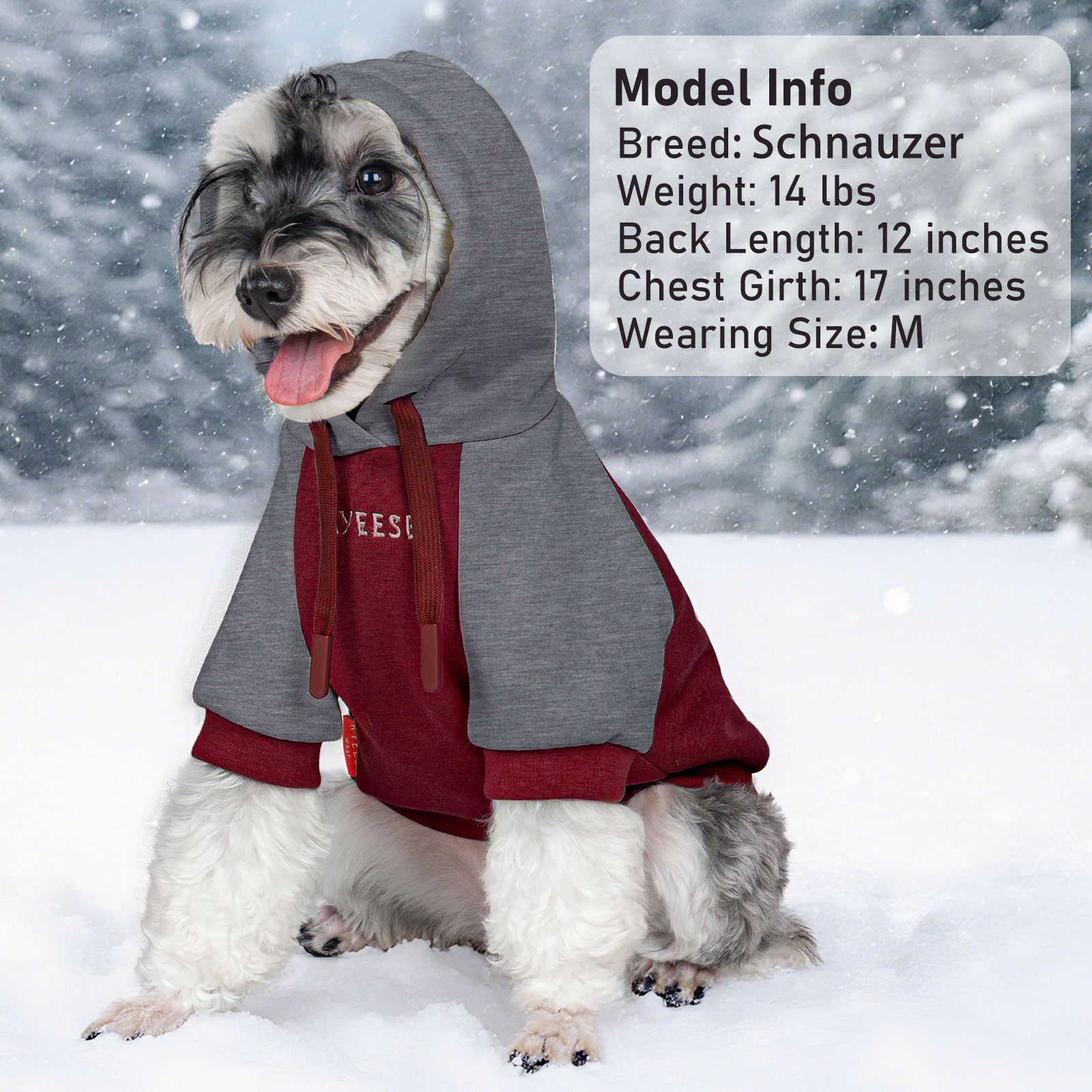 Dog winter hoodie with hood, gray top and red skirt, paw patch on chest