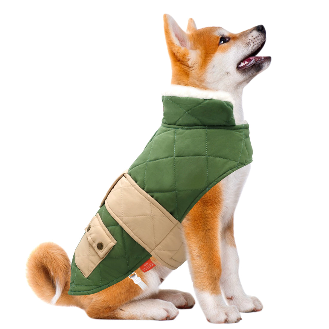 Quilted windproof dog coat with pocket in green and beige, hooded puffer style