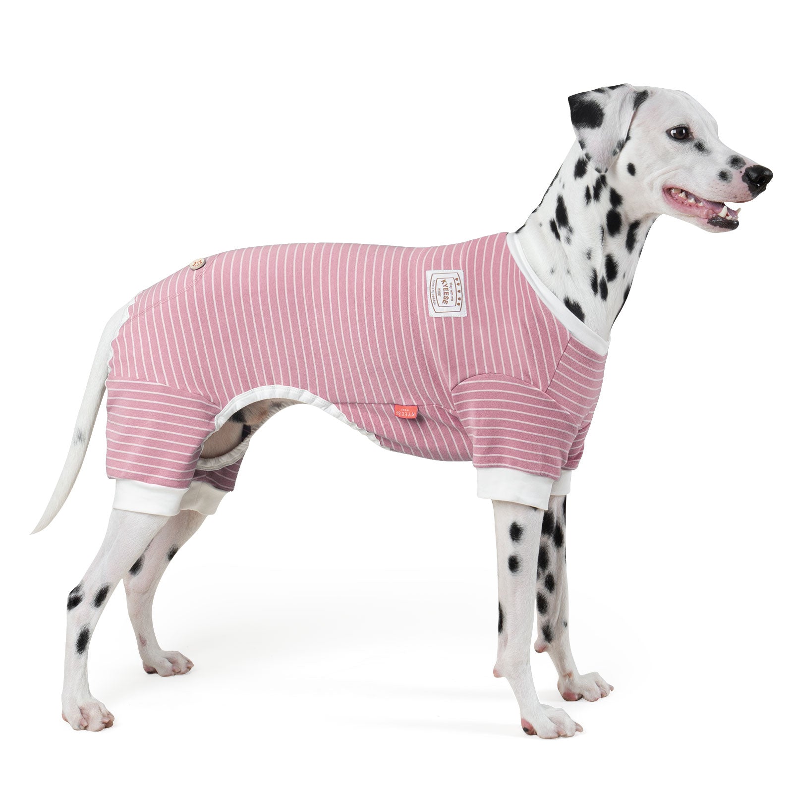 Pink striped dog onesie pajamas with belly cutout and short leg openings
