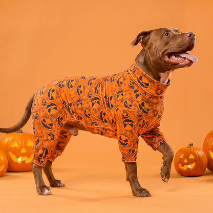 Orange Pumpkin Dog Halloween Pajamas