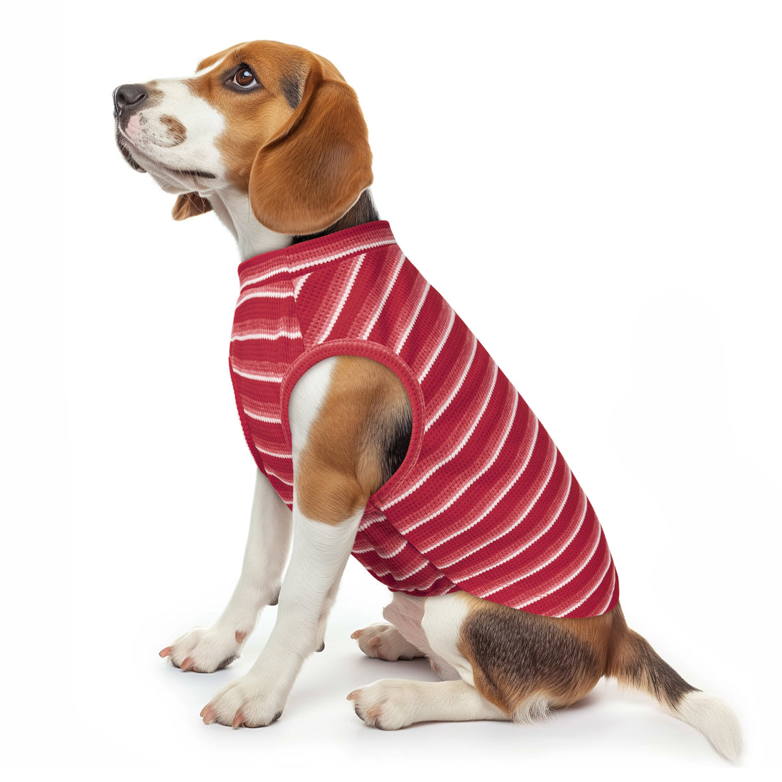 Dog wearing red-and-white striped waffle dog shirt with round neck