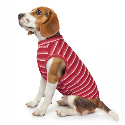 Dog wearing red-and-white striped waffle dog shirt with round neck