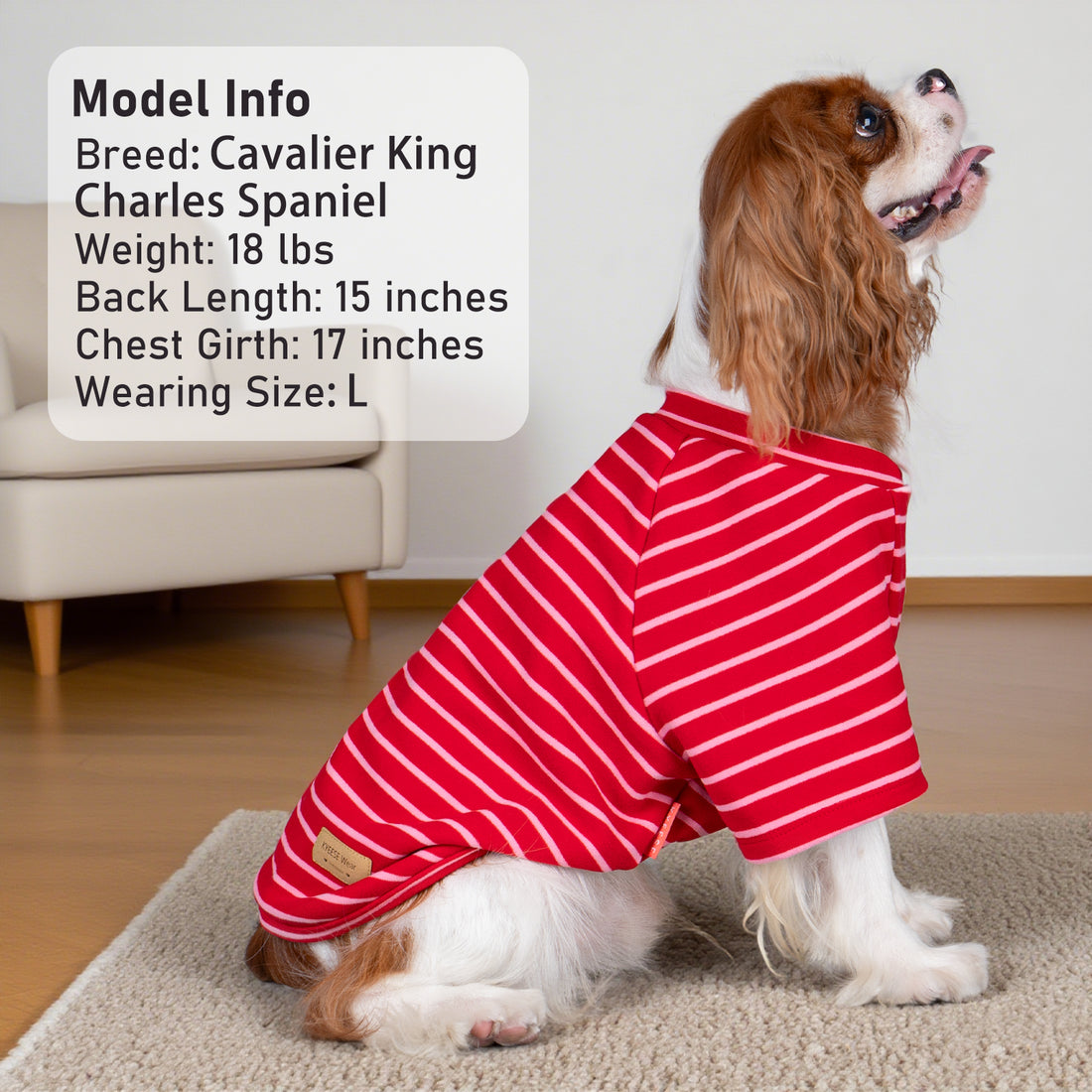 Dog shirt with red-and-white striped back and raglan sleeves