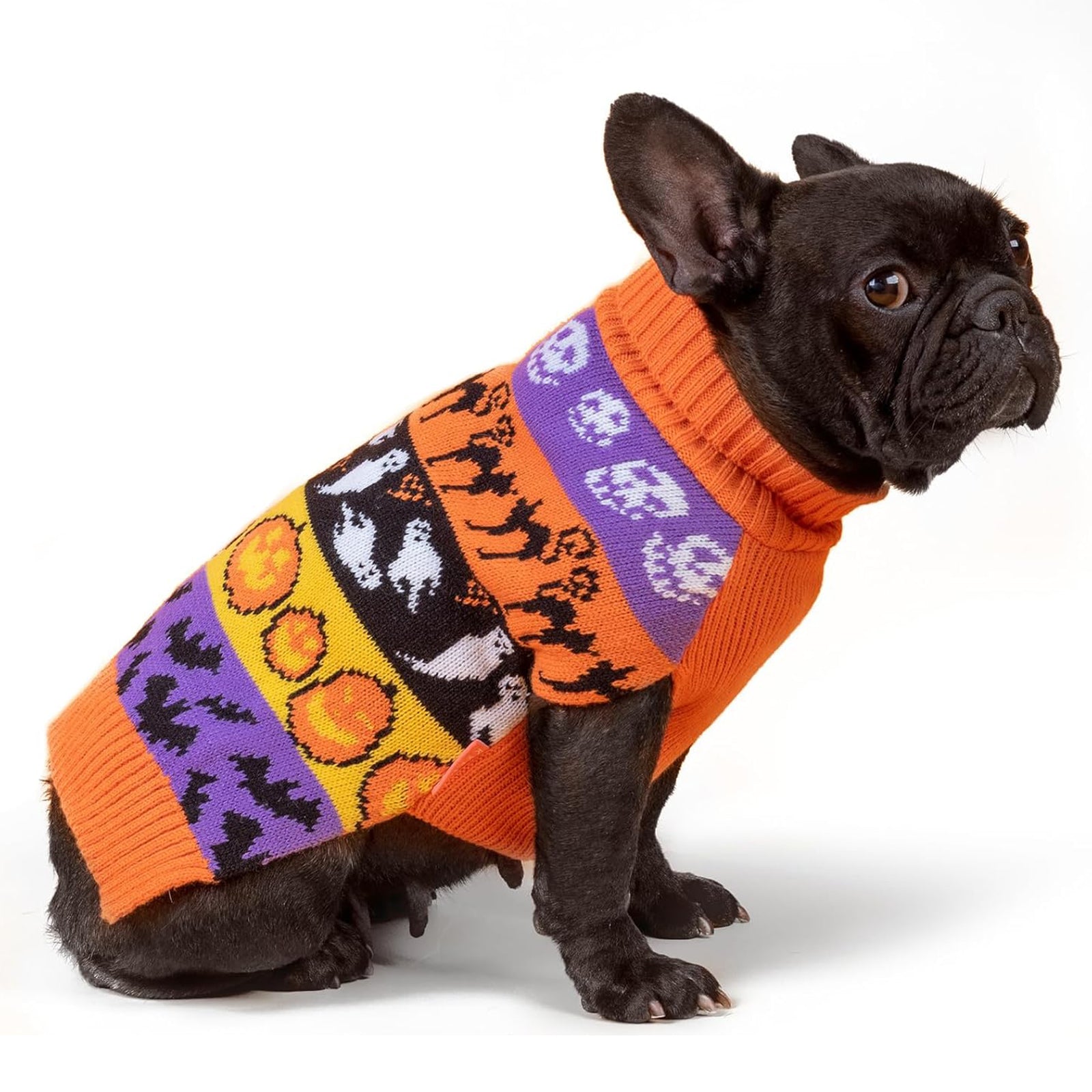 Orange knit dog sweater with Halloween-themed intarsia pattern and wide crew neck
