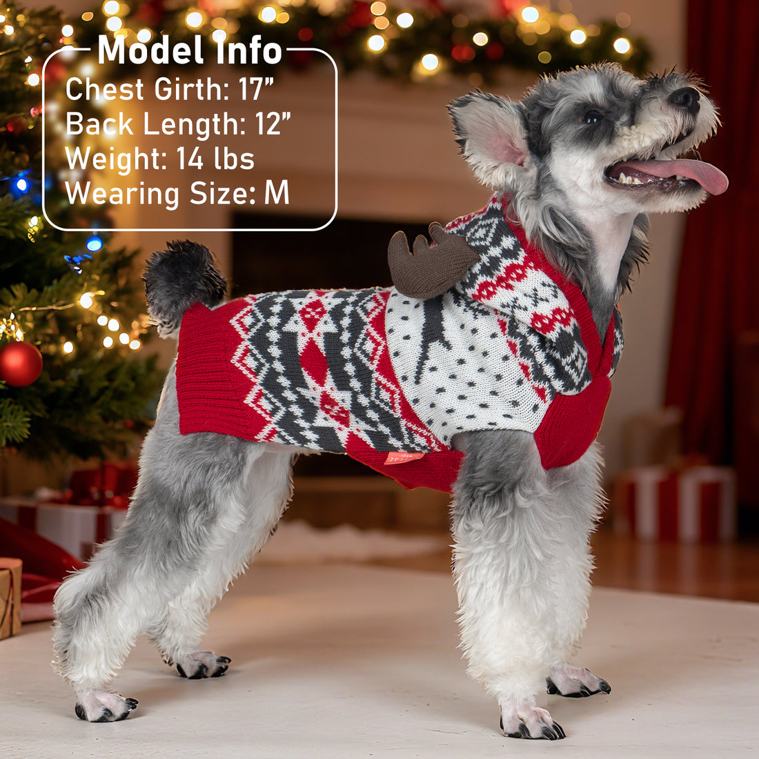 Reindeer antler-hood dog sweater on small dog, red and black-white fair isle knit
