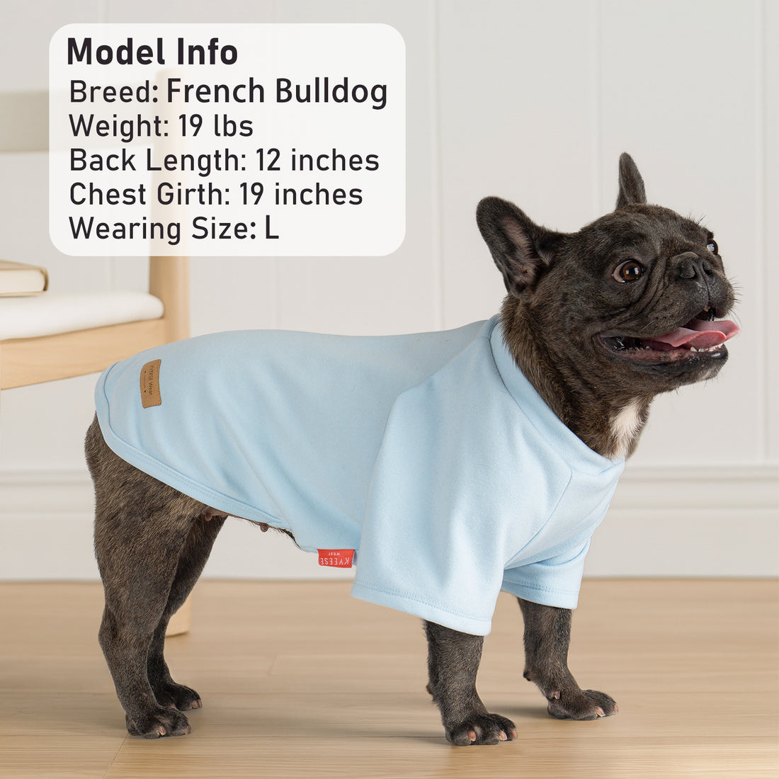 Dog shirt in light blue with short sleeves and raglan seam