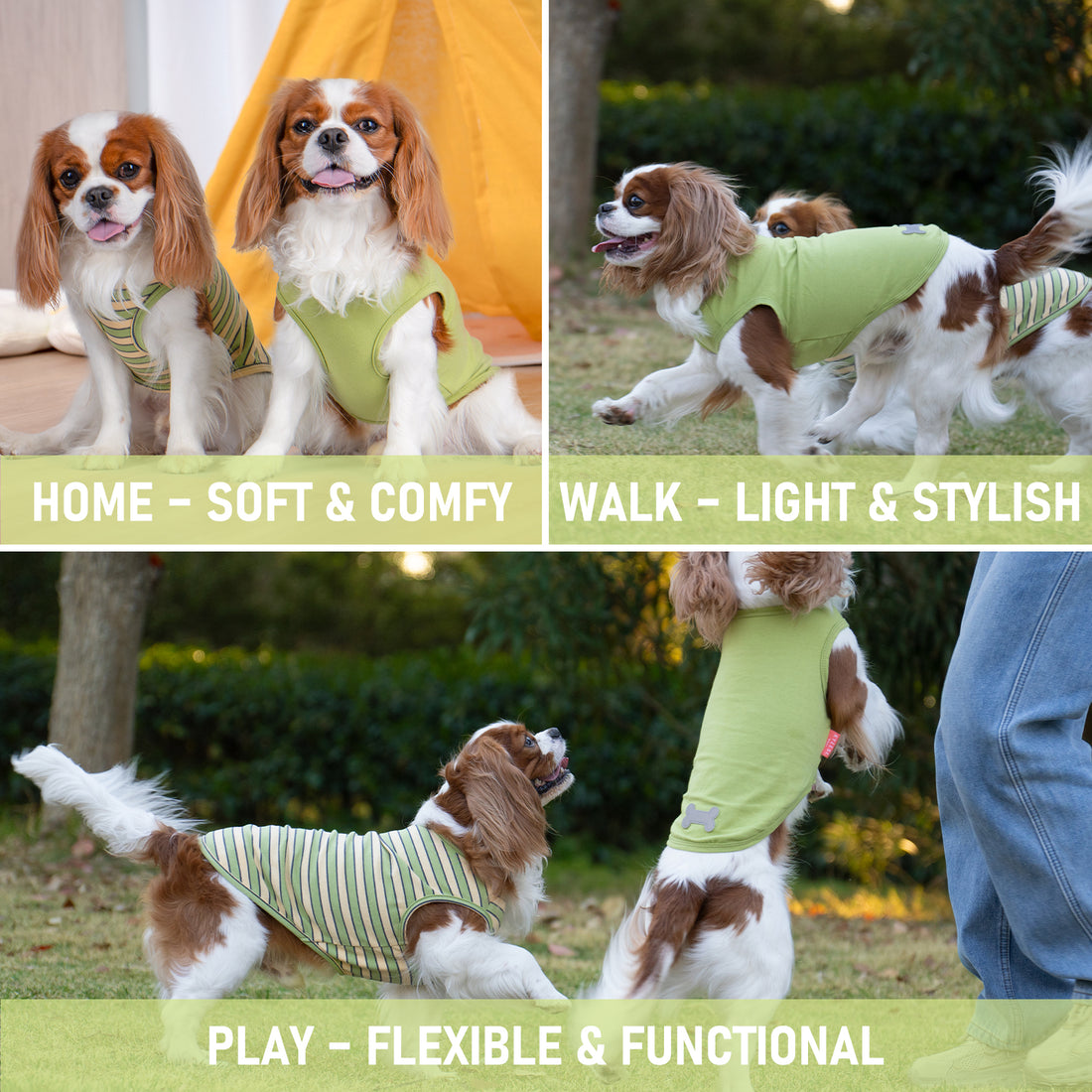 Green sleeveless dog shirt styles with striped side panel