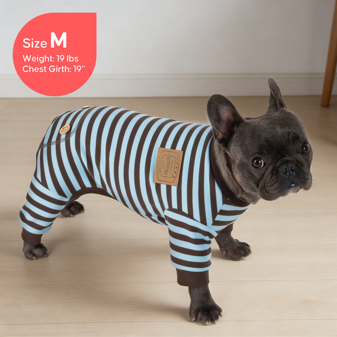 Striped dog onesie pajamas on a gray bulldog, blue and brown stripes