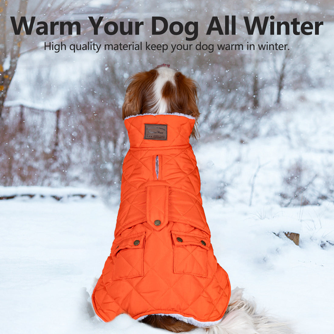 Quilted windproof dog coat with hood and pockets, orange, worn by a dog