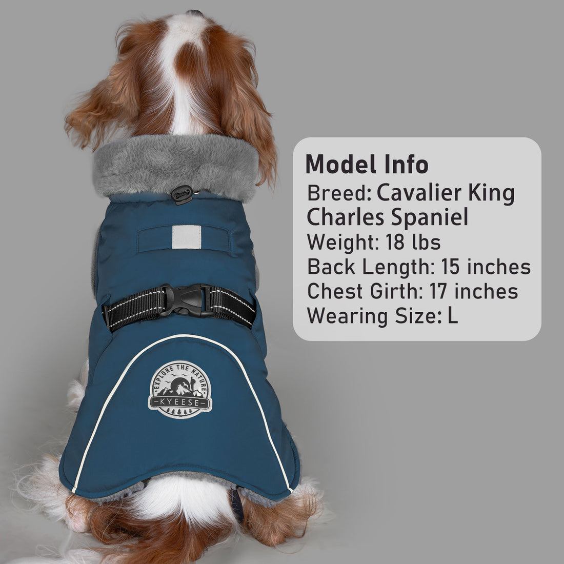 Fleece-lined windproof winter dog coat in navy blue with gray faux-fur trim and reflective piping.