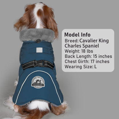 Fleece-lined windproof winter dog coat in navy blue with gray faux-fur trim and reflective piping.