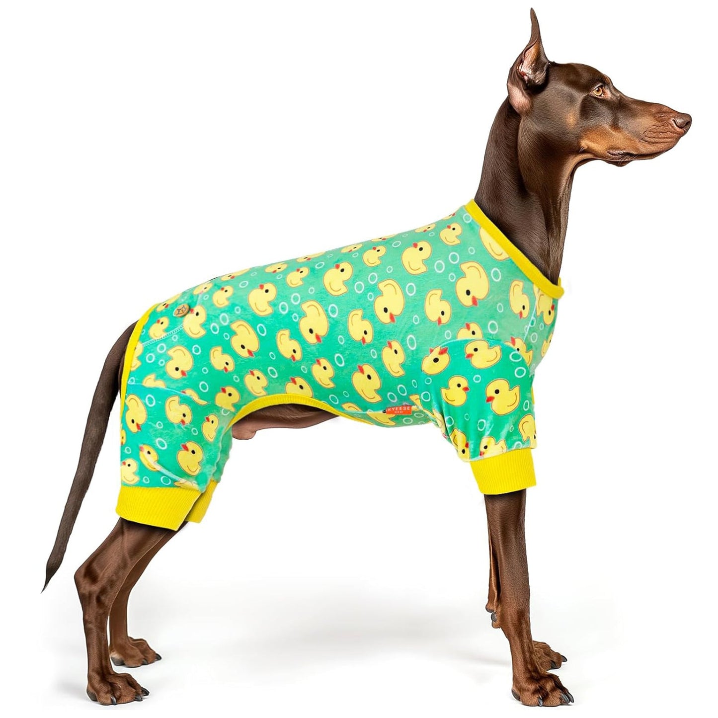 Dog onesie pajamas in teal with duck print and yellow ribbed trim