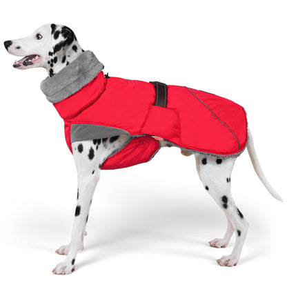 Red fleece-lined windproof dog coat with grey collar and black belly strap