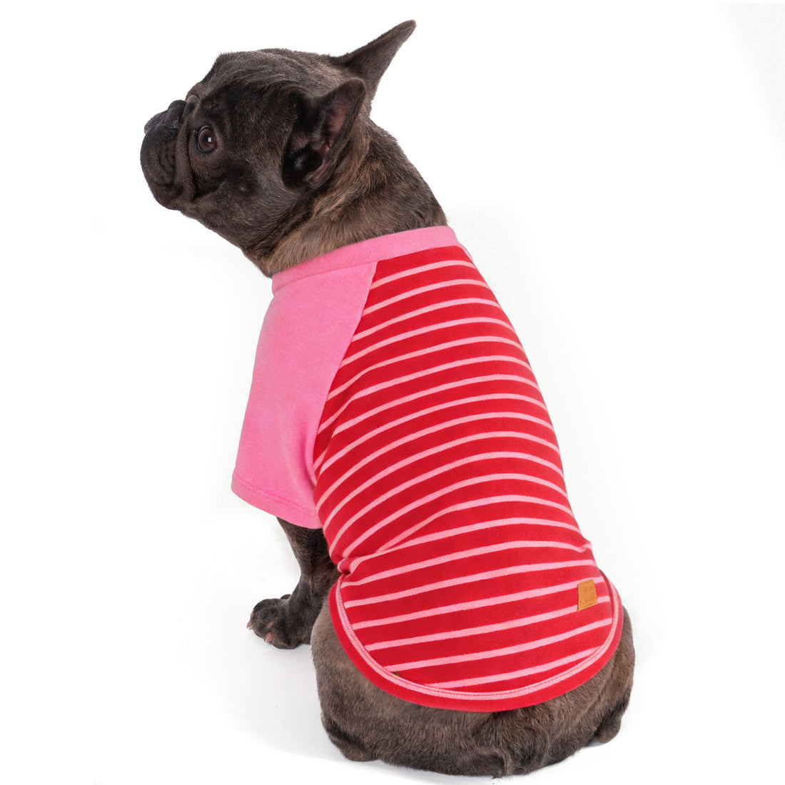 Dog shirt with pink body and red striped panel; long side hem
