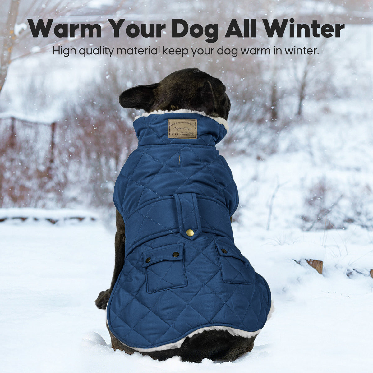 Blue Waterproof Lined Dog Coat - Blue coat gallery image 4