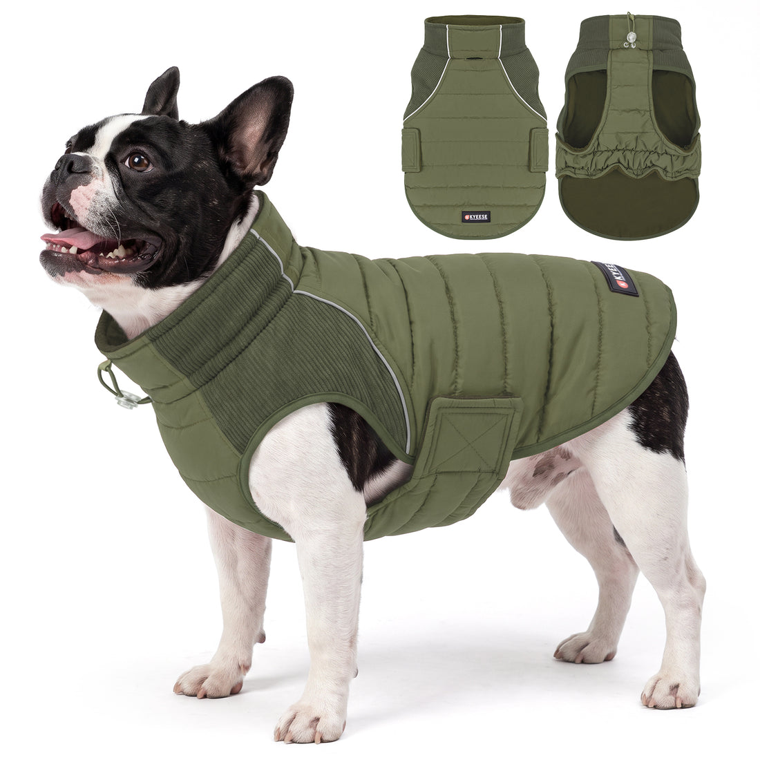 Green Waterproof Lined Dog Coat - Green coat gallery image 2