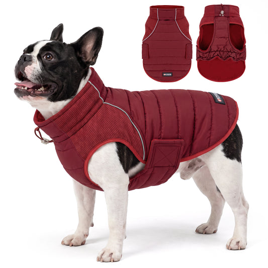 Black and white dog wearing a red quilted coat beside front and underside views
