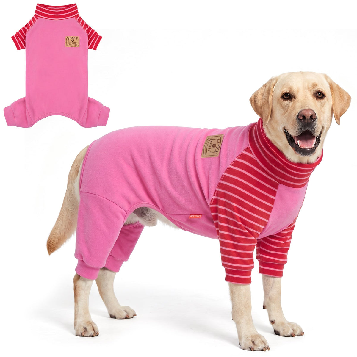 Tan dog wearing pink onesie pajamas with red striped sleeves beside a flat lay
