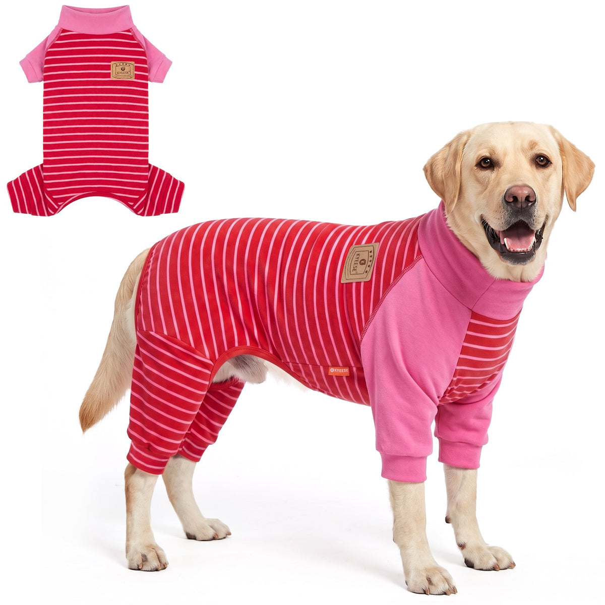 Tan dog wearing red striped pajamas with pink sleeves beside a flat lay