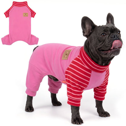 Black French bulldog in pink dog pajamas with red striped sleeves, side view