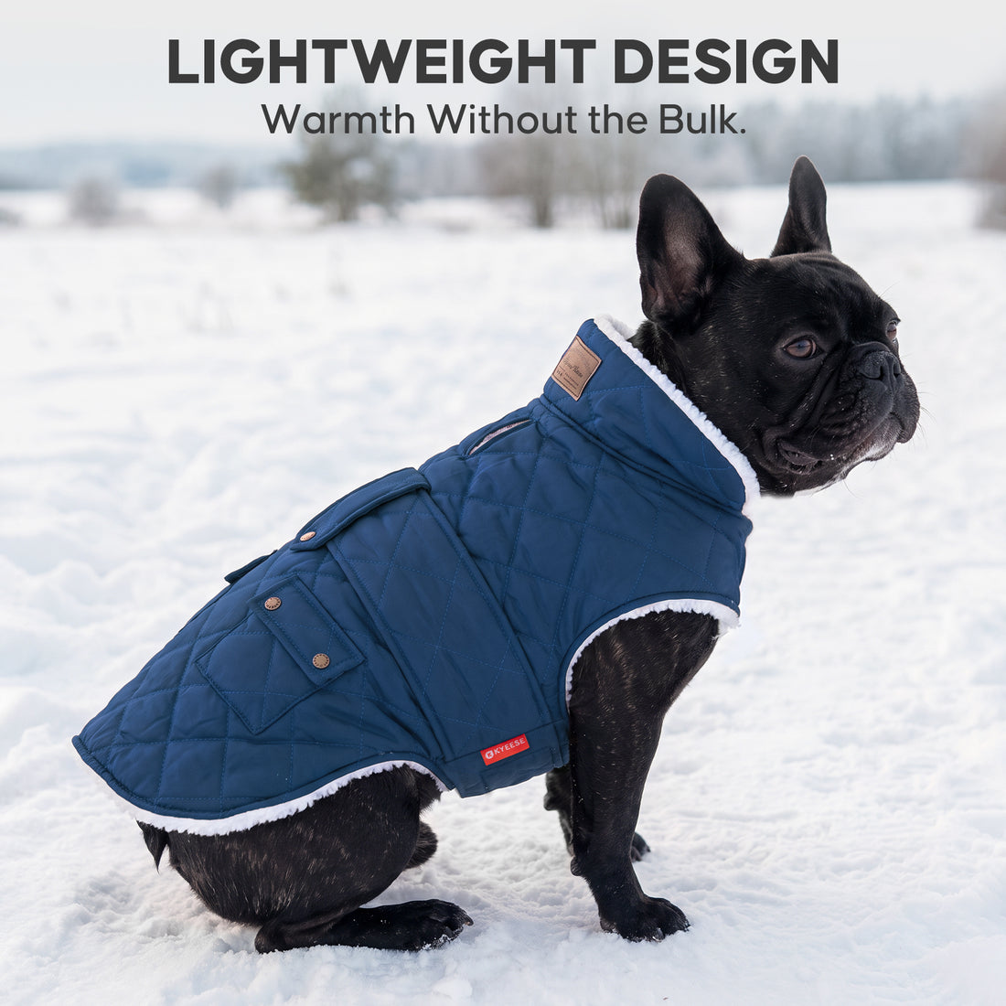 Blue Waterproof Lined Dog Coat - Blue coat gallery image 9