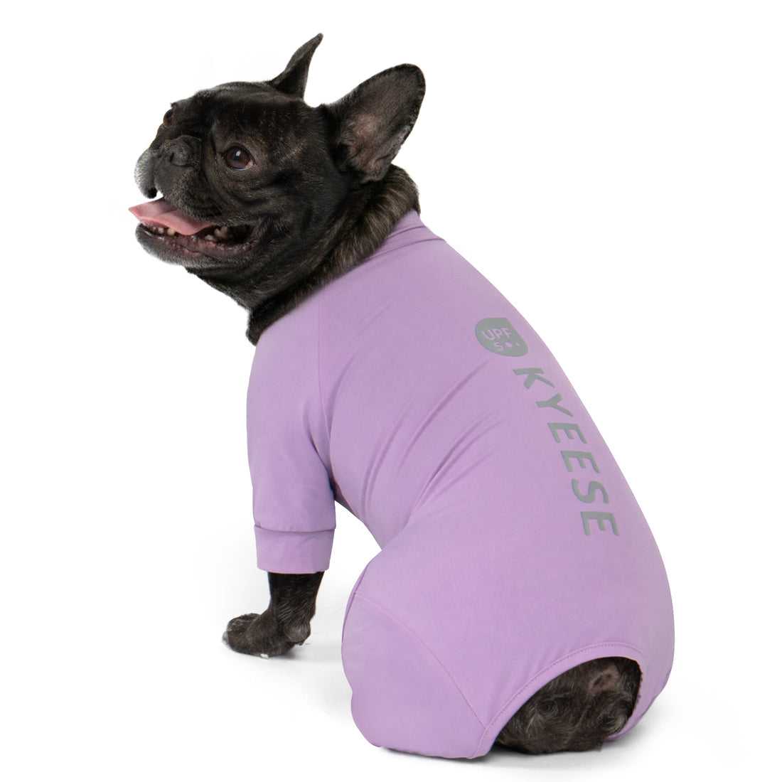 Purple one-piece dog UV pajama suit with long sleeves and open leg holes
